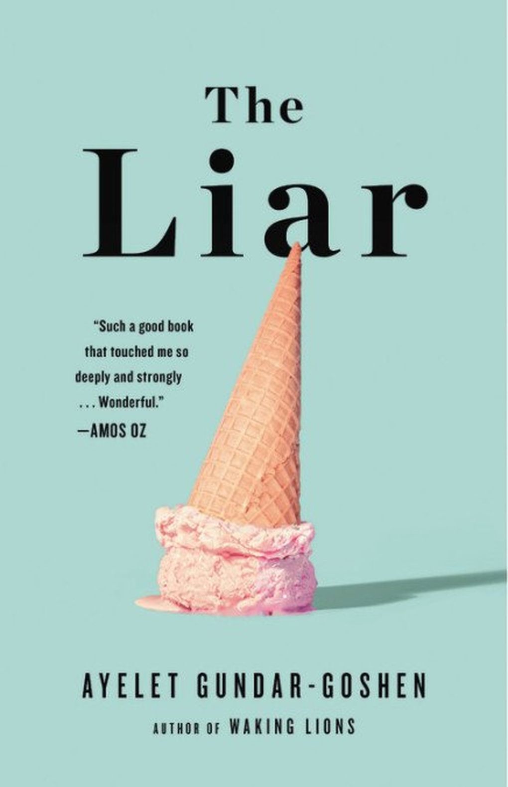 “The Liar” by Ayelet Gundar-Goshen (Little, Brown)