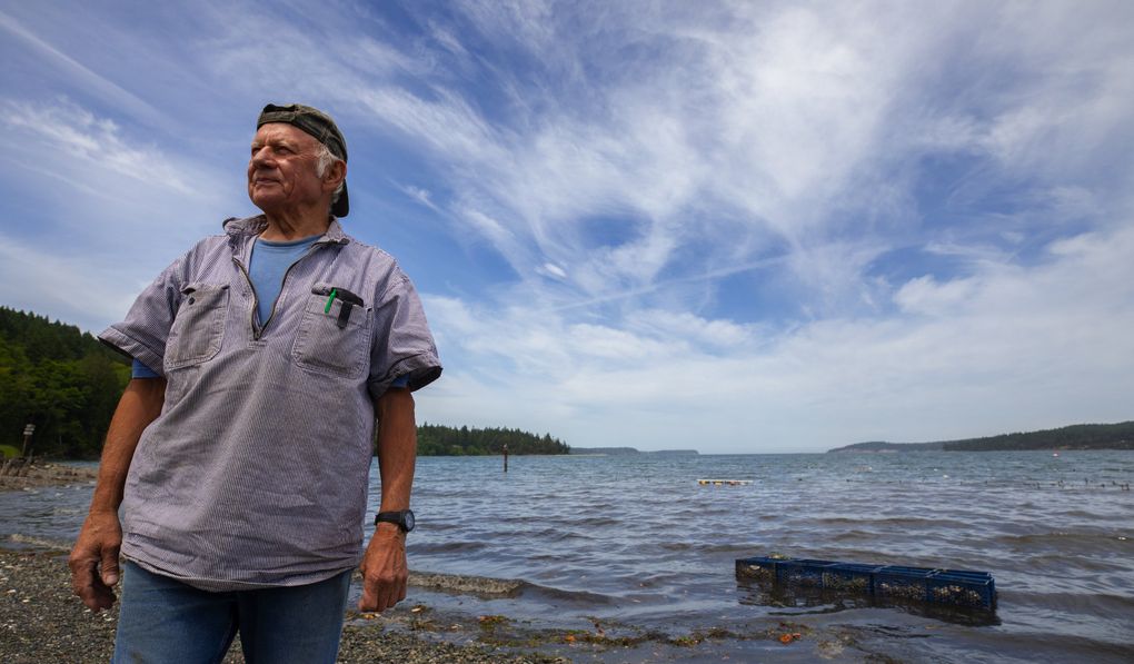 Marlin Holden, a tribal elder with the Jamestown S’Klallam tribe, stands at Littleneck Beach on Sequim Bay, which was cleaned up and restored by the tribe. He raises Pacific oysters, but would like to see the native Olympia oysters that nourished his ancestors back on the table some day. (Ellen M. Banner / The Seattle Times)