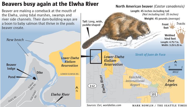 Sauna Guidelines  Elwha Rivers Edge