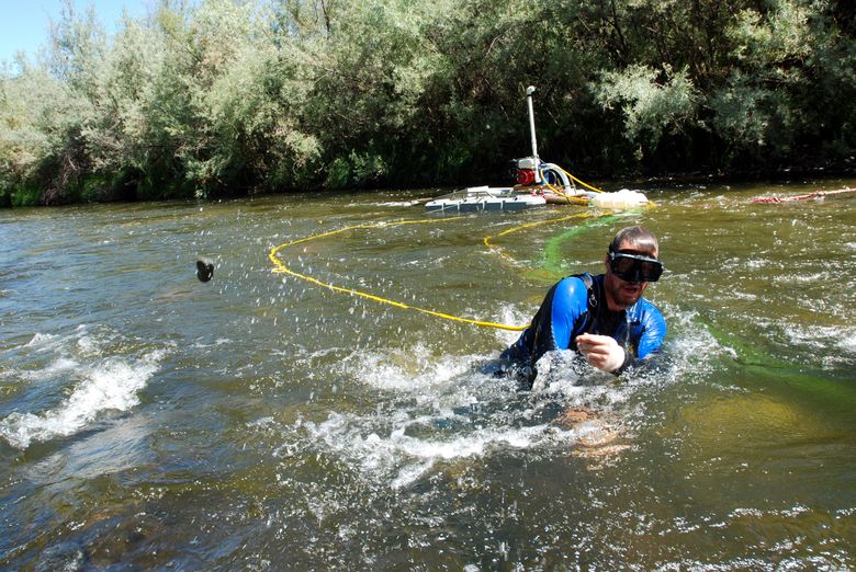 Gold panning in the streams that flow into the Kuluck River in the