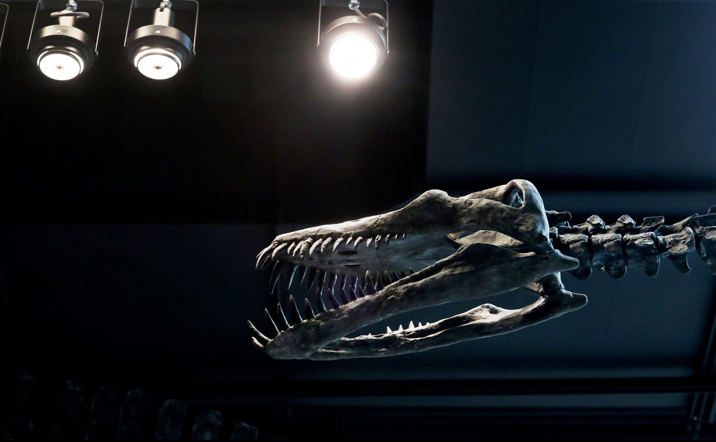 置物 out of museum 10012019_Burke_114819.jpg?d=