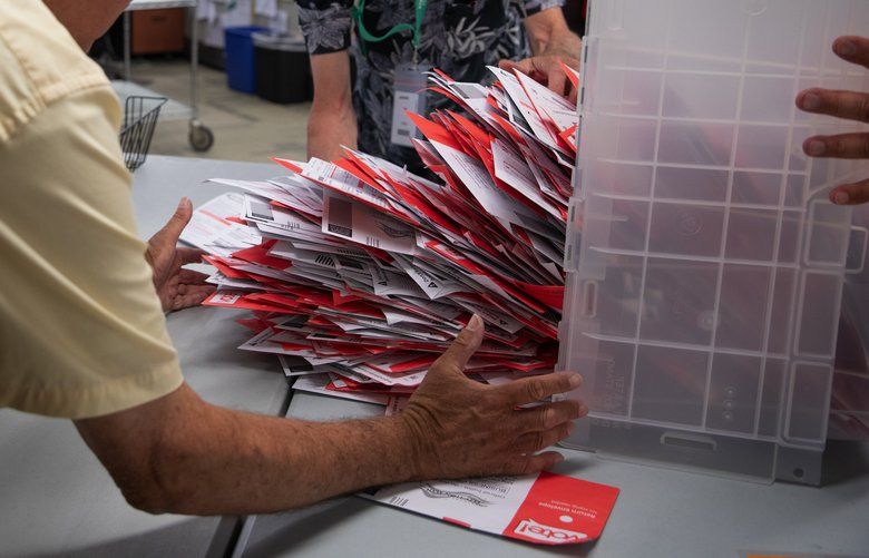 After ballots are removed from a ballot drop box in Ballard, they are dumped onto a table at the King County Election headquarters in Renton Tuesday, August 8, 2019. They will be arranged so they are all pointing in the same direction and then get sent to a sorting machine where they will be opened and processed.  At left is John Larsgaard and at center is Mark Briggs.   211098