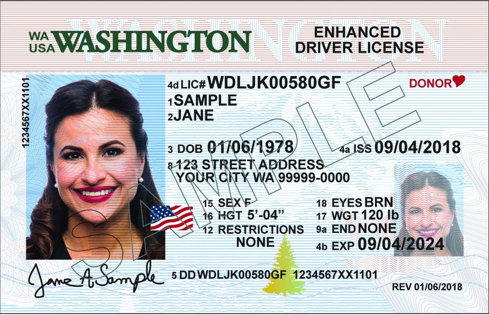 Driver's license must have gold star on top right-hand corner by