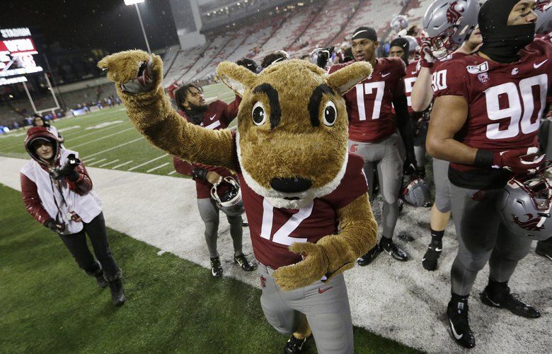 Wazoo Revealed! On the Trail of the Elusive WSU Mascot - Alumni Blog