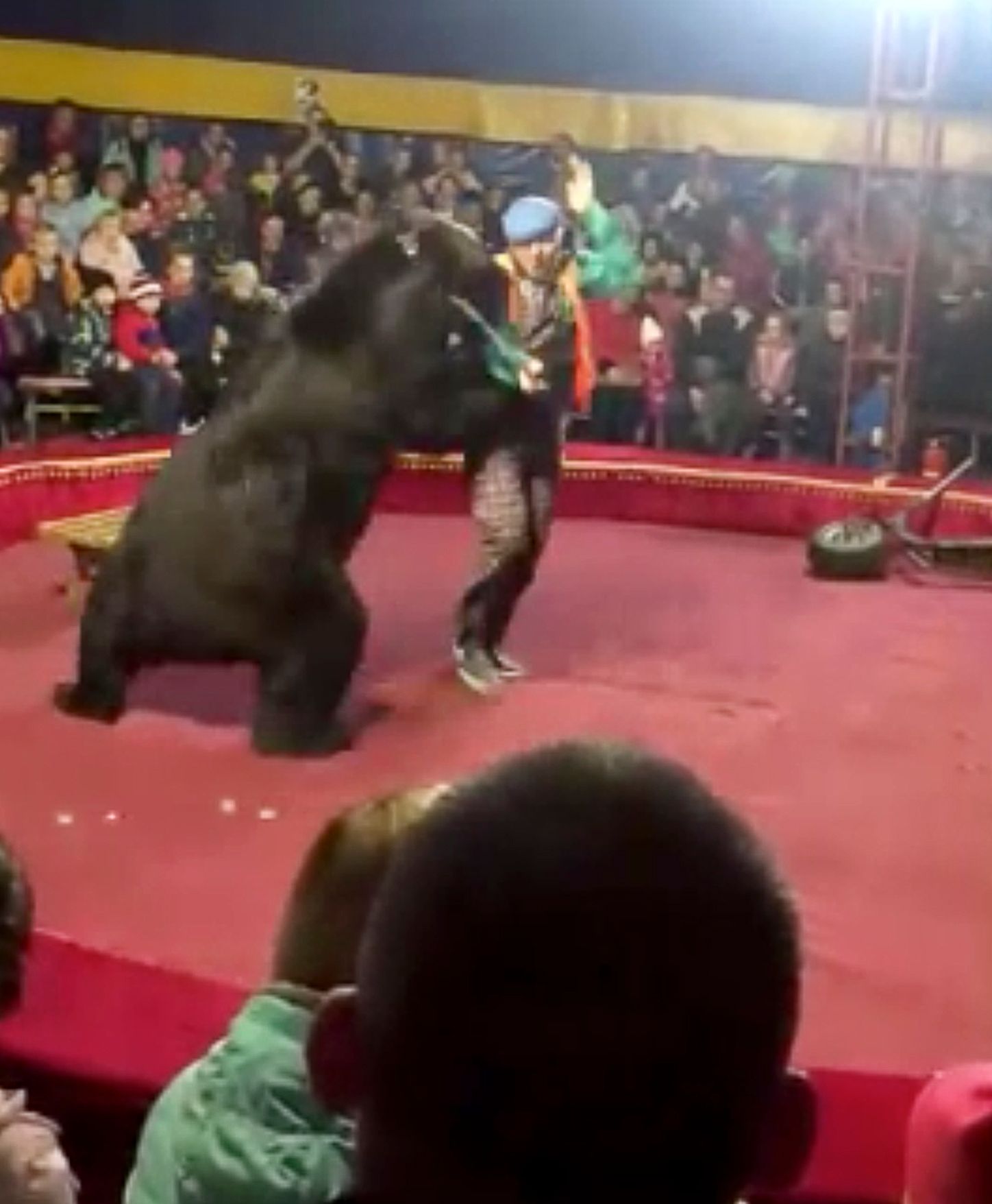 Bear attacks trainer at Russian circus show | The Seattle Times