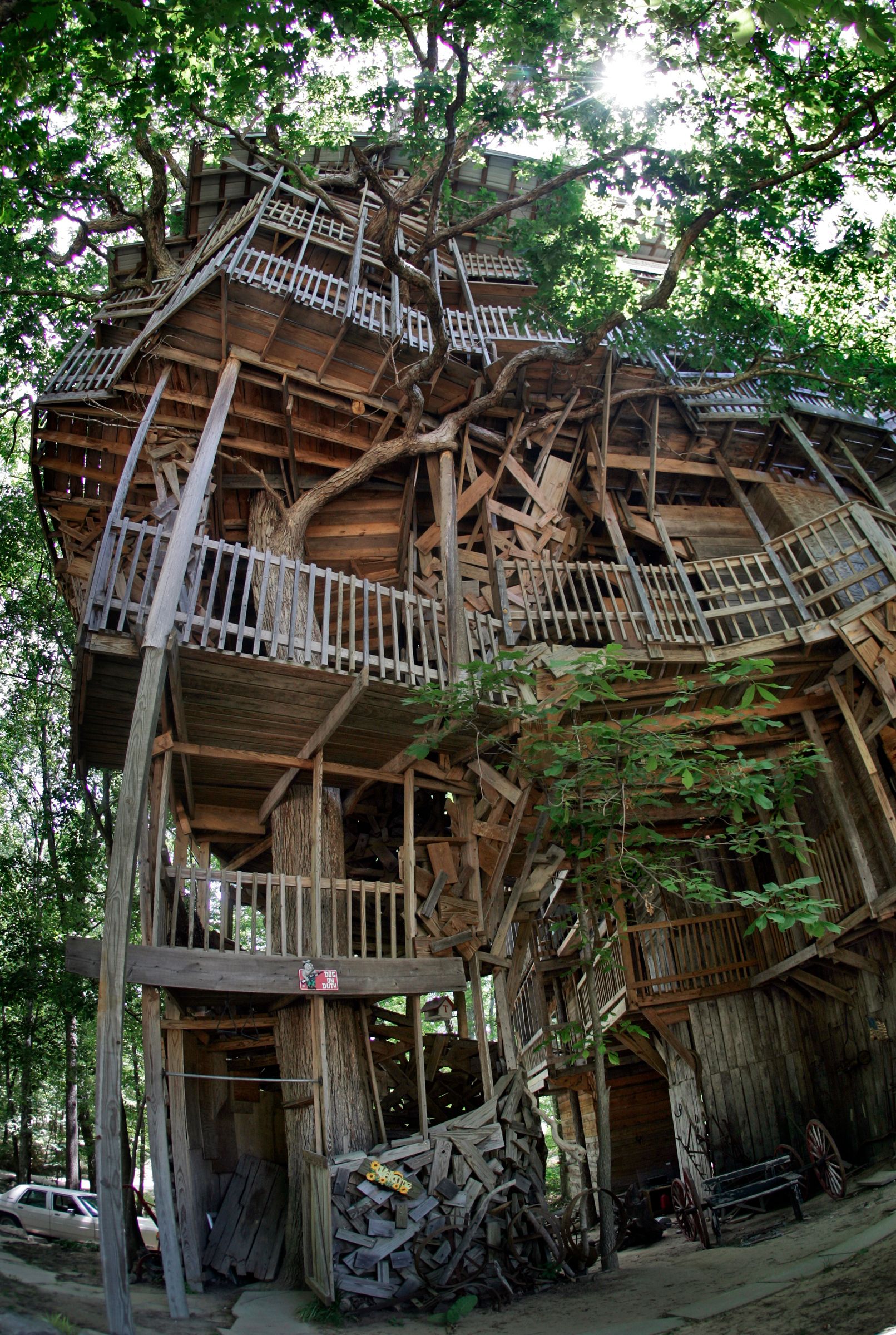 1 of world's tallest treehouses destroyed by fire in minutes | The