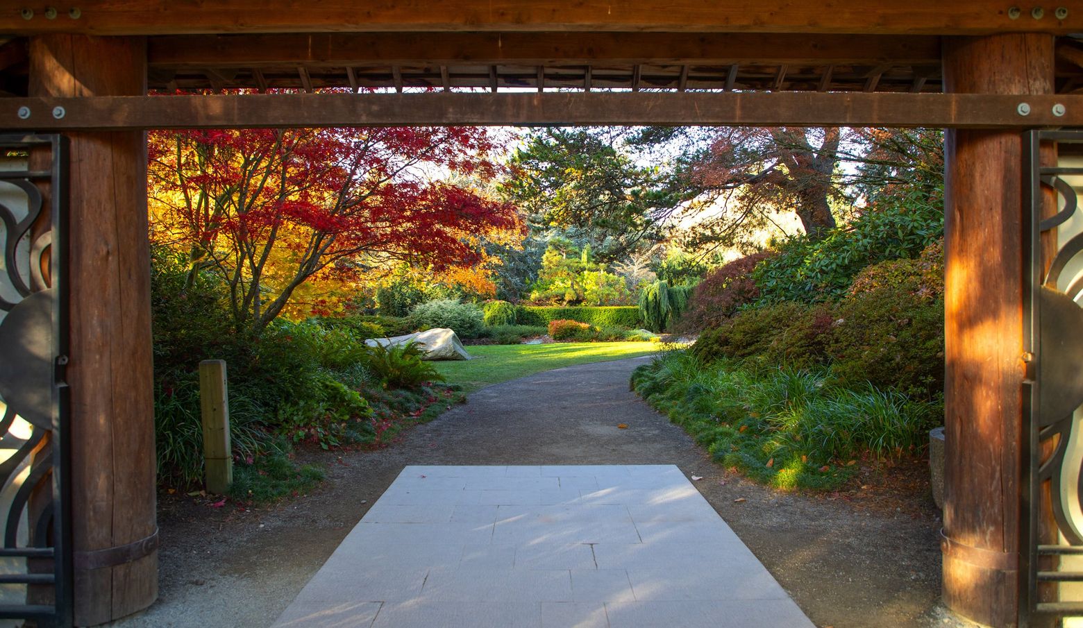 are dogs allowed in kubota gardens