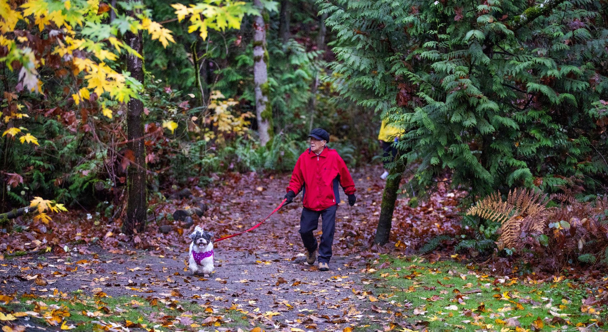 Denny Creek — Washington Trails Association