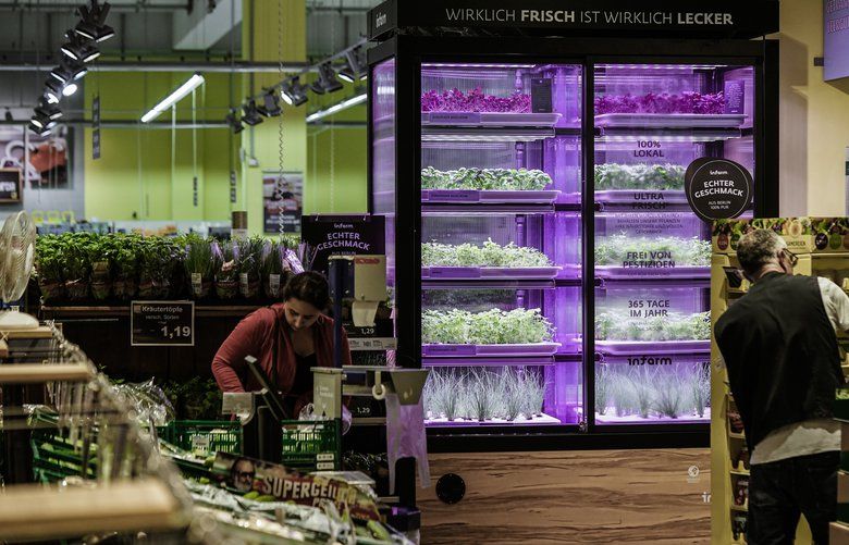 Kroger’s has teamed up with German startup Infarm to launch in-store “gardens” in select Seattle-area stores. Infarm uses a “distributed farming” format, growing its plants in nursery hubs for a few days, before placing the seedlings in its hydroponic modular farms in stores in the nearby area. Consumers will be able see their food growing in the store, and then take their Italian Basil or green mint home, roots still intact, to allow for the most flavorful food.