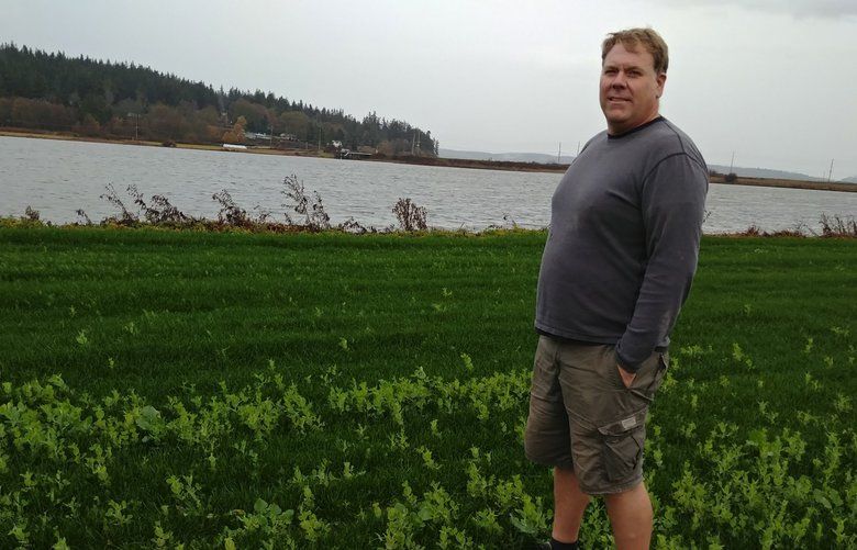 Farmer Brian Christensen raises crops and livestock on 200 acres of land near the Naval Air Station Whidbey Island, which sends stormwater runoff through the channel that runs by his land. He  is concerned about PFAS chemical pollution that the  Navy has detected in the water migrates onto his land during periodic flooding.
Credit:  Hal Bernton
 
Dateline:  Whidbey Island, Island County
Date:November , 2019