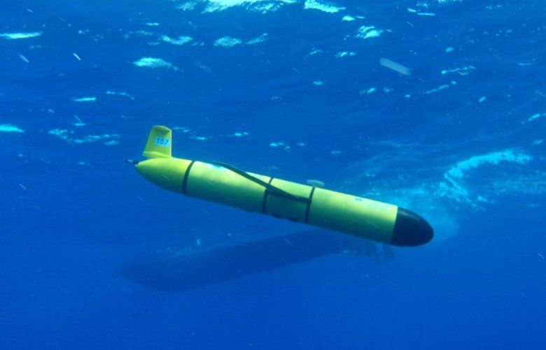 ‘Sneaky’ underwater robot spent 18 days recording sea creatures — and