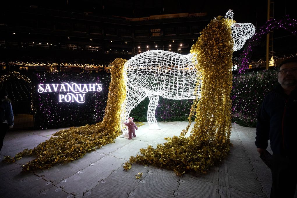 One-year-old Jovanna Barragan explores the Christmas light maze — “the world’s largest” — at Enchant Christmas at T-Mobile Park. (Andy Bao / The Seattle Times)