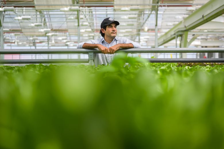 Kroger ramps up distribution with indoor farmer Gotham Greens