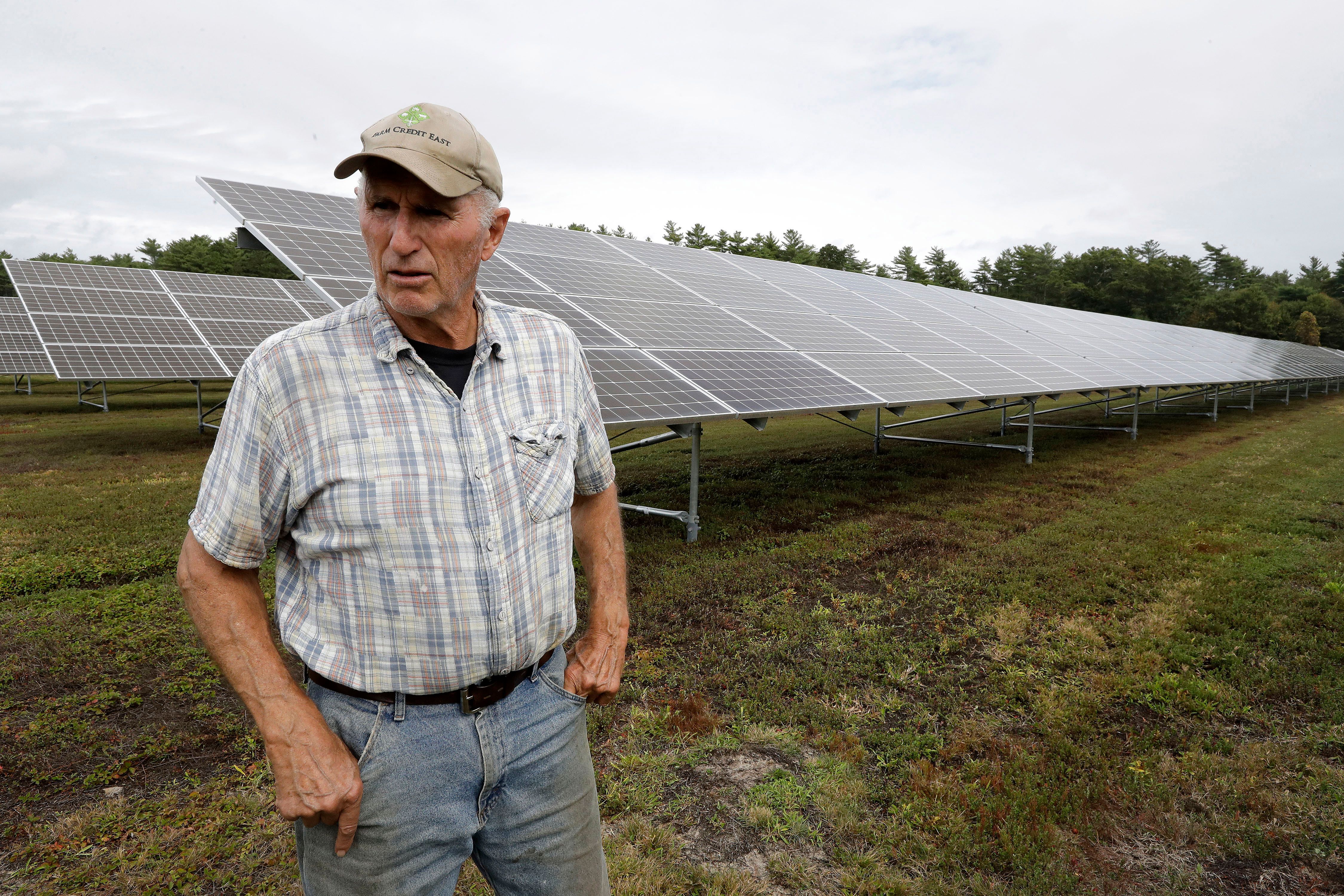 Cranberry farmers want to build solar panels over their bogs | The