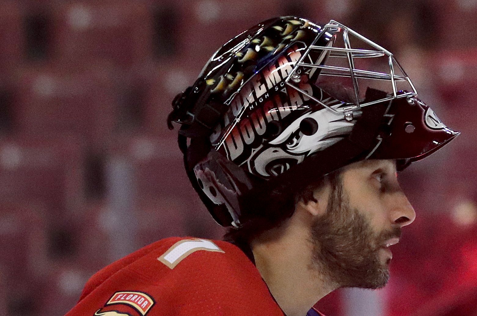 Roberto Luongo Panthers Mask