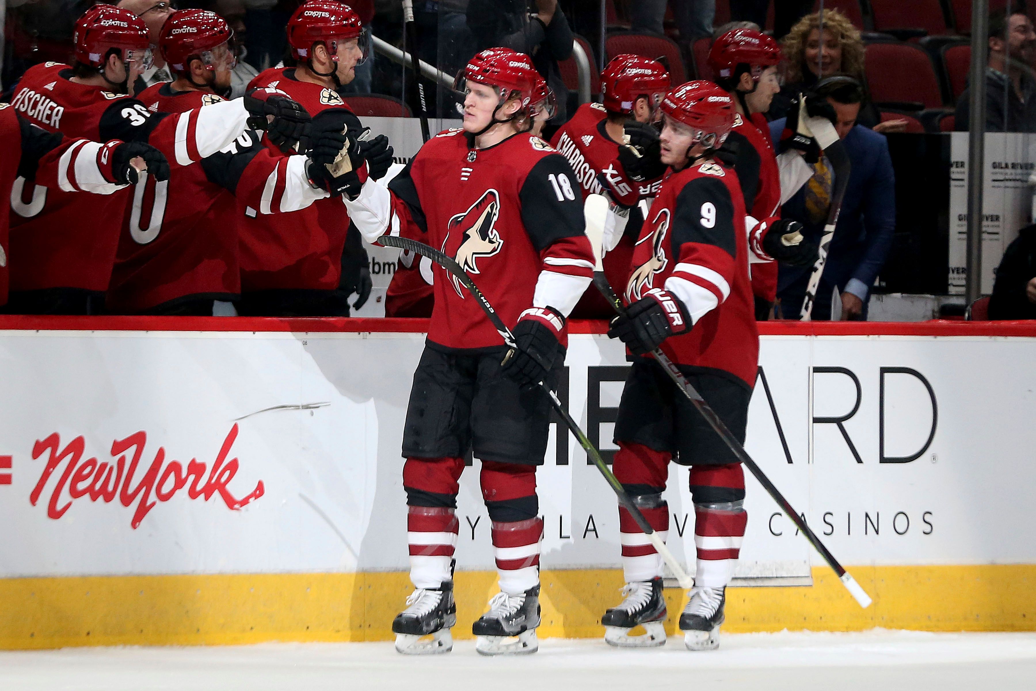 Dvorak Scores 2, Adds Shootout Winner As Coyotes Top Ducks | The ...