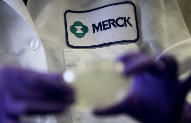 FILE – In this Thursday, Feb. 28, 2013, file photo, Merck scientist Meizhen Feng conducts research to discover new HIV drugs in West Point, Pa. According to reports, Monday, Dec. 8, 2014, Merck will buy fellow drugmaker Cubist Pharmaceuticals for $8.4 billion, illustrating a new emphasis on combating so-called “superbugs” that have drawn dire warnings from global health organizations. (AP Photo/Matt Rourke, File) NY113
