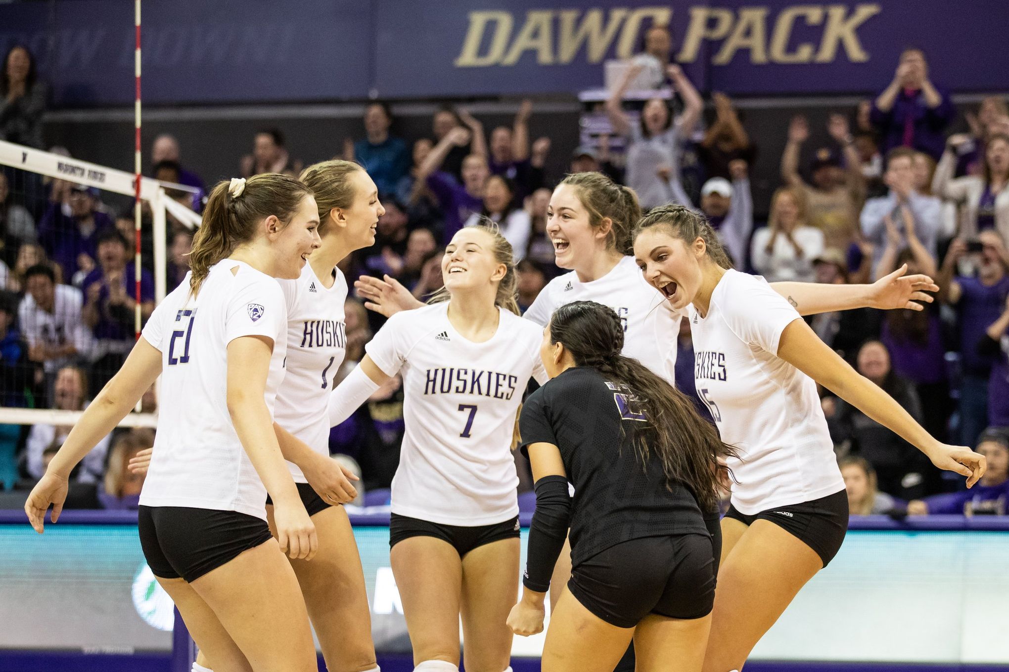 UW Huskies volleyball squad has nationalchampionship capability and