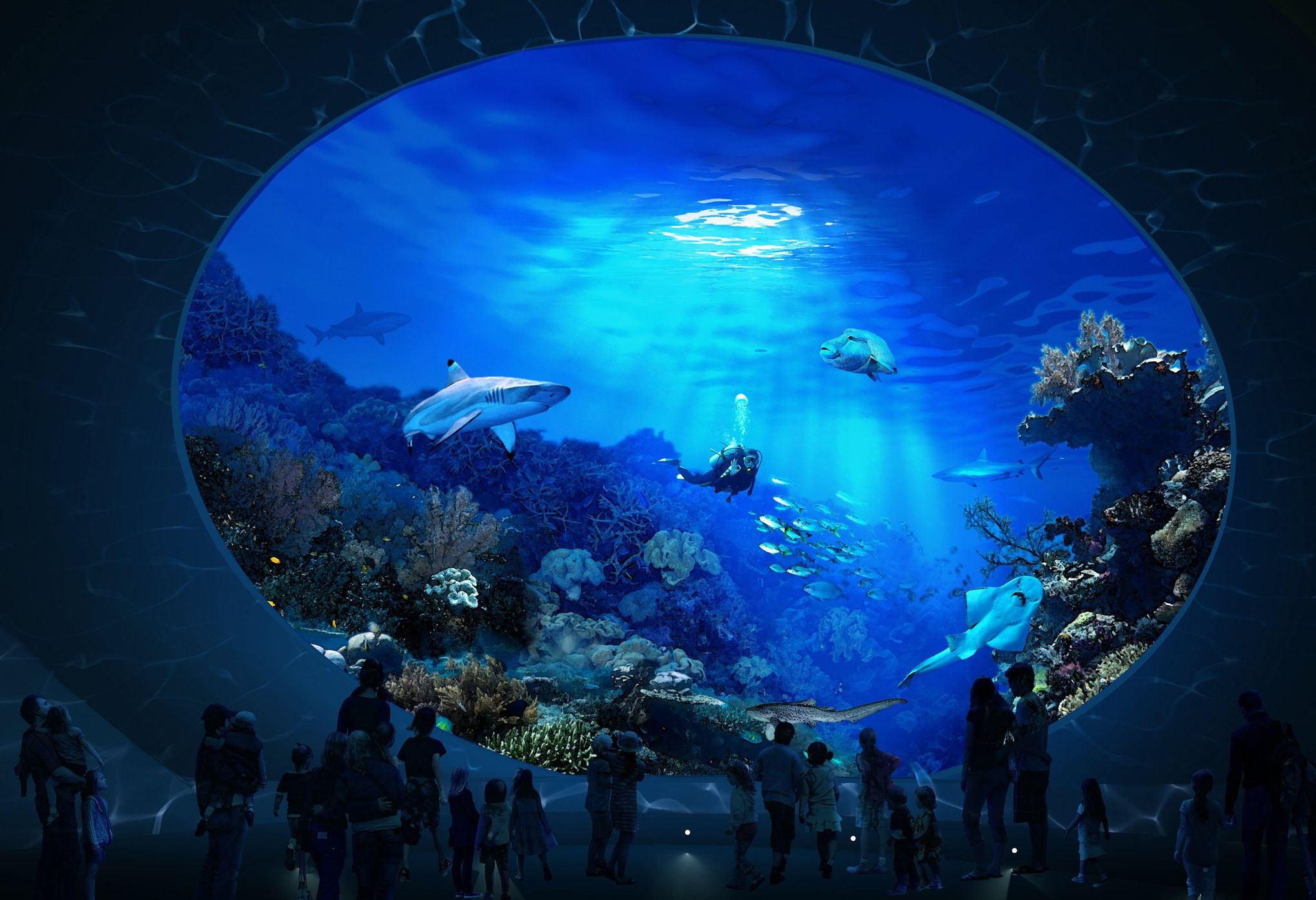 Seattle Aquarium plans $113 million pavilion with sharks, sting rays for  new waterfront promenade
