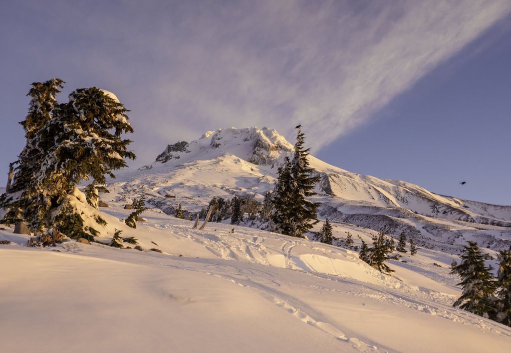With 2,150 skiable acres, there is room to roam at Mount Hood, which is about a four-hour drive from Seattle. (Courtesy of Timberline Marketing)