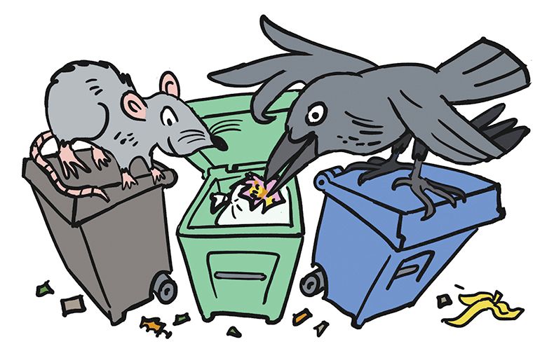 Rant & Rave Put away those unsightly recycling, garbage and compost