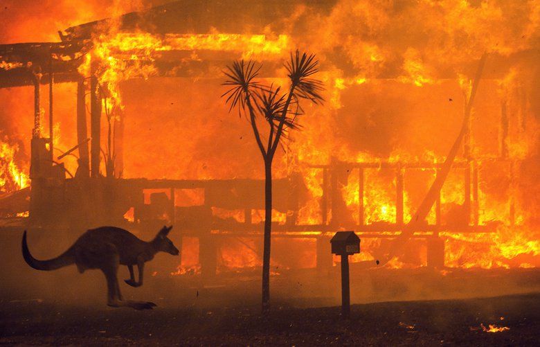 A kangaroo rushes past a burning house in Lake Conjola, Australia, on Tuesday, Dec. 31 2019. This fire season has been one of the worst in Australia’s history, with at least 15 people killed, hundreds of homes destroyed and millions of acres burned.  (Matthew Abbott/The New York Times) XNYT2 XNYT2