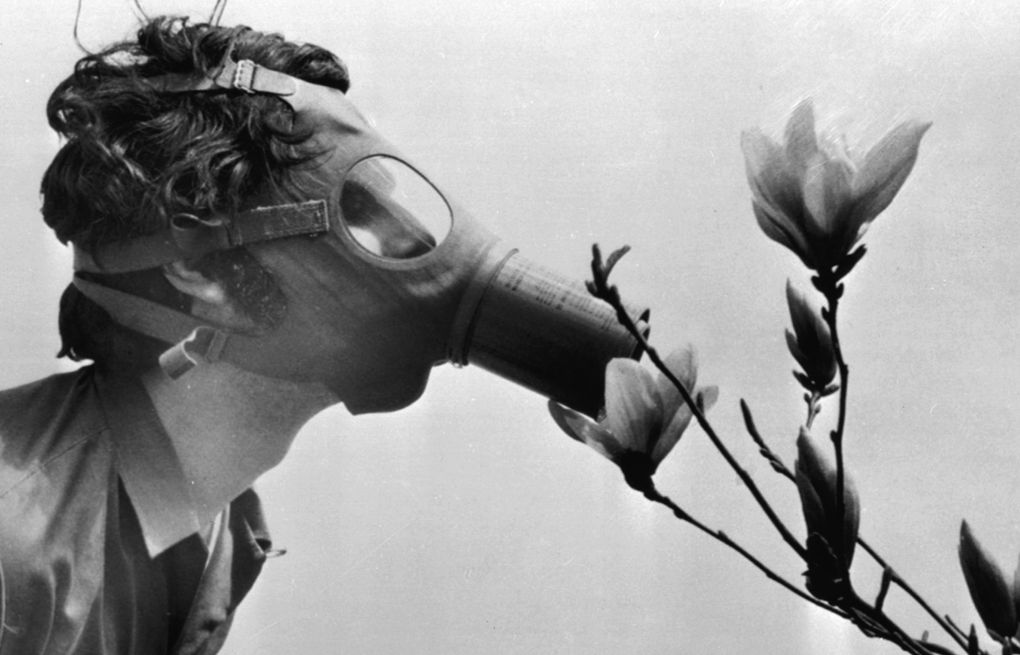 In this April, 22, 1970 file photo, a Pace College student in a gas mask “smells” a magnolia blossom in City Hall Park on the first Earth Day in New York. (The Associated Press)
