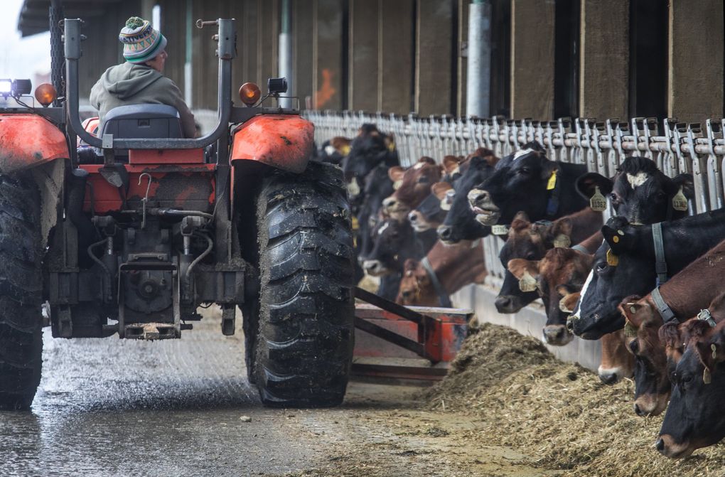 Many Washington Dairies Are Struggling, Dairy Farm Machinery List