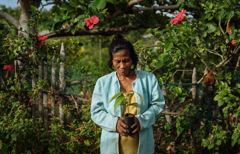 Scientists, Activists Planting Trees To Fight Climate Change | The ...