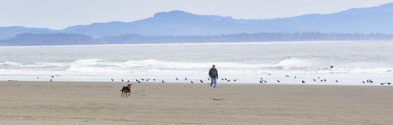 large size happy retirement beach