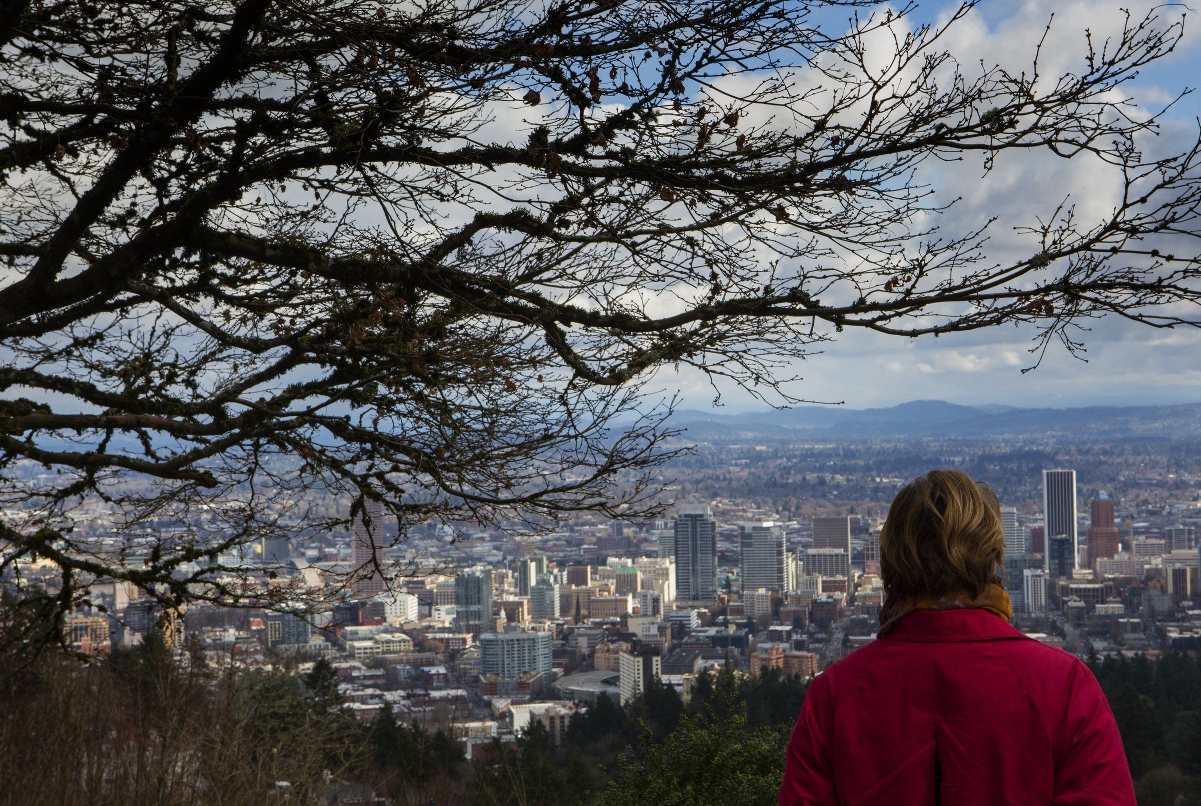 How to travel between Seattle and Portland by car bus train and