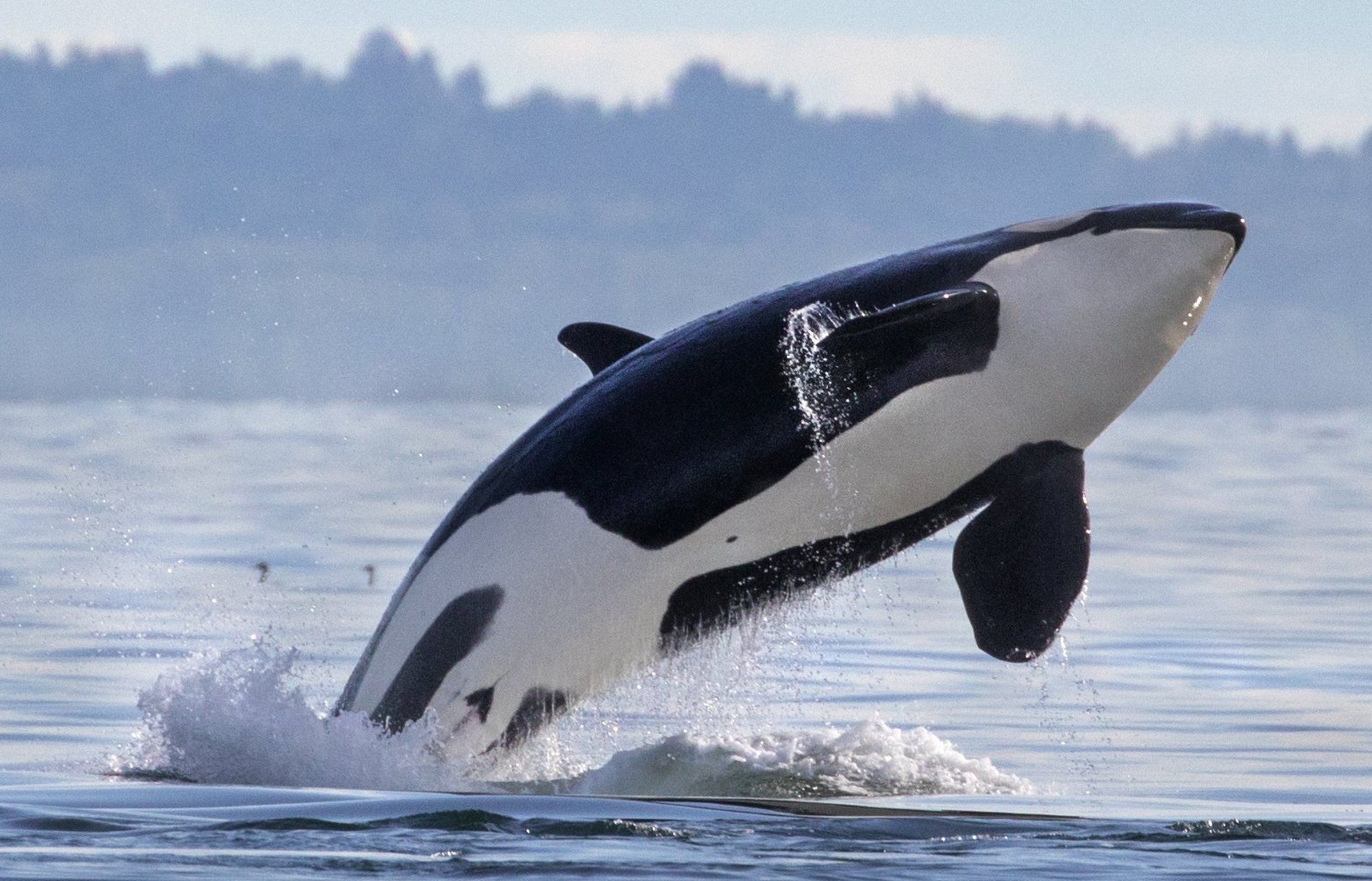 145151.jpg?d=1200x630