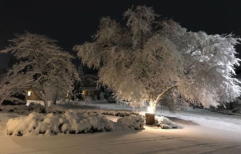 Snow blankets Mill Creek on Monday morning, Jan. 13, 2020. (John de Leon / The Seattle Times)