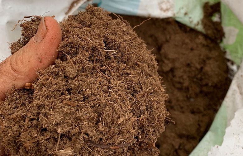 Peat moss discount