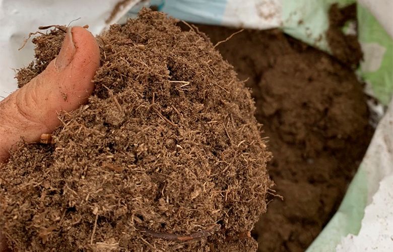 Consider easy, more sustainable alternatives to peat moss