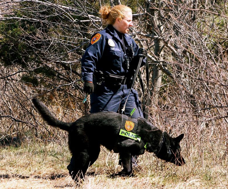 Police in Long Island serial killer case reveal new evidence | The Seattle Times Police in Long Island serial killer case reveal new evidence | The Seattle Times