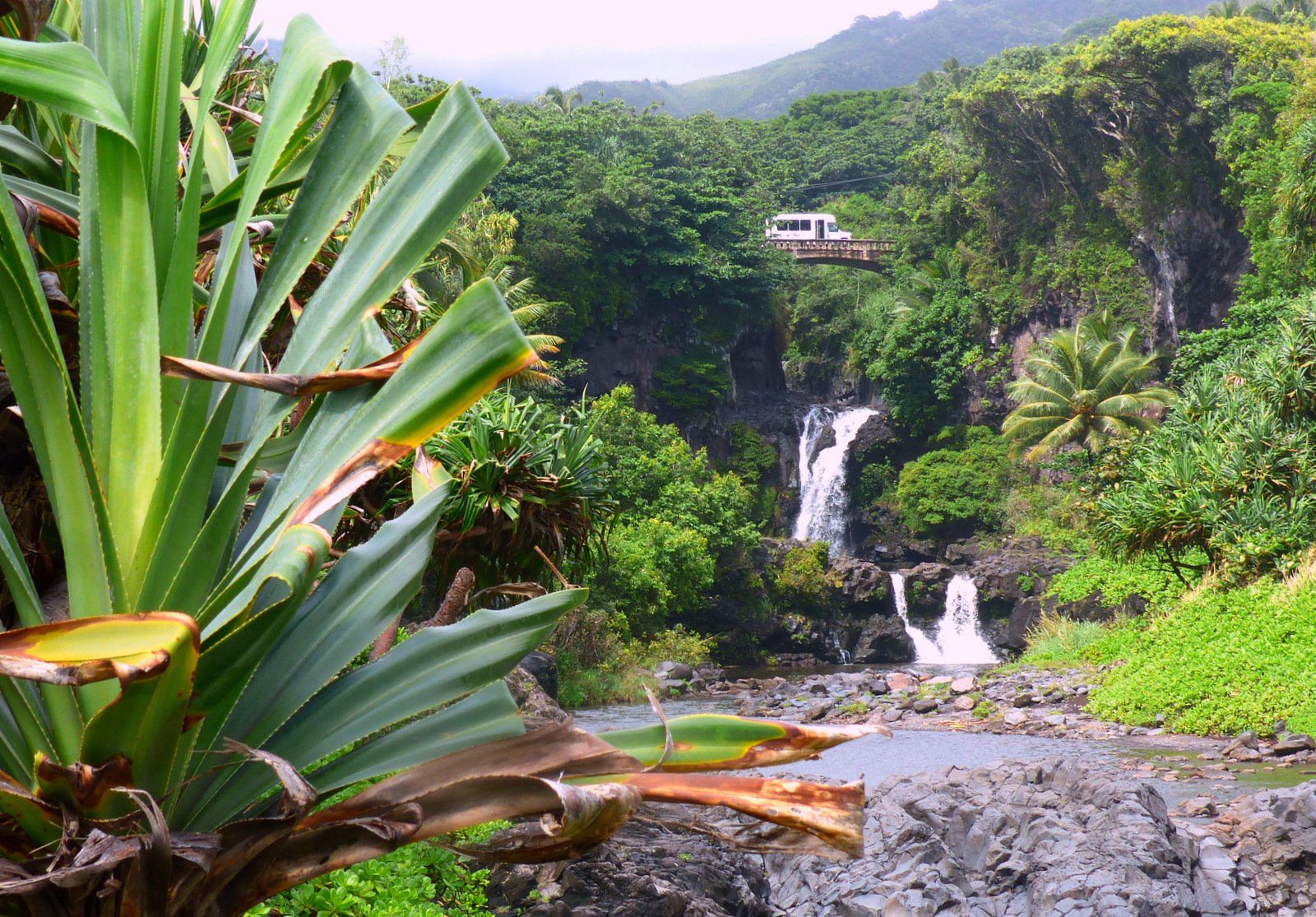 0209-BackstoryHanaRoad2.jpg?d=