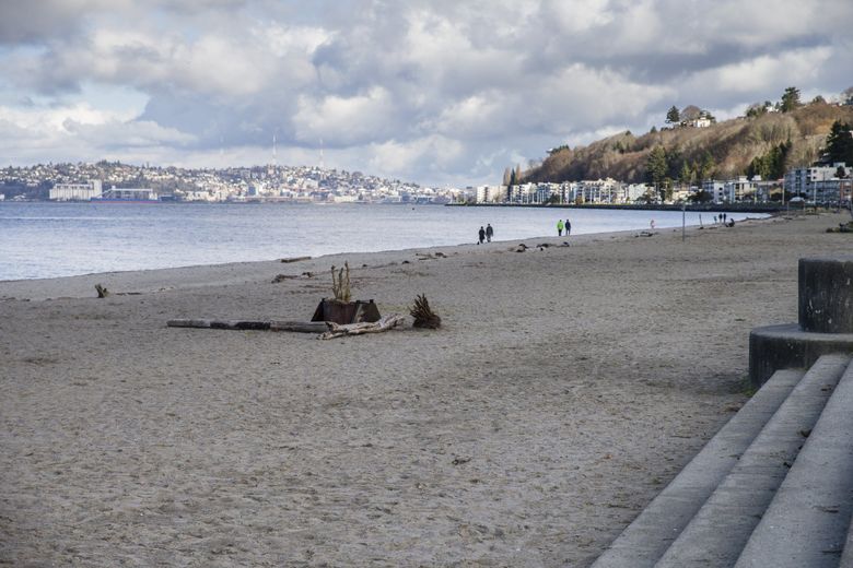 are dogs allowed at alki beach