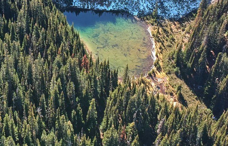 The small lake is the source of the Silverdaisy Creek in the upper Skagit River “donut hole” in British Columbia, where Imperial Metals wants to mine.