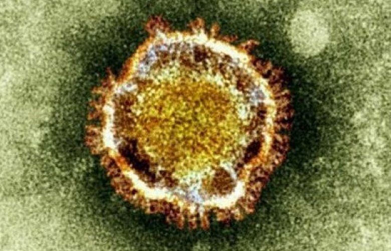 Las autoridades creen que la propagación del coronavirus es probable. (Agencia de Protección de la Salud) 1585620 1585620
