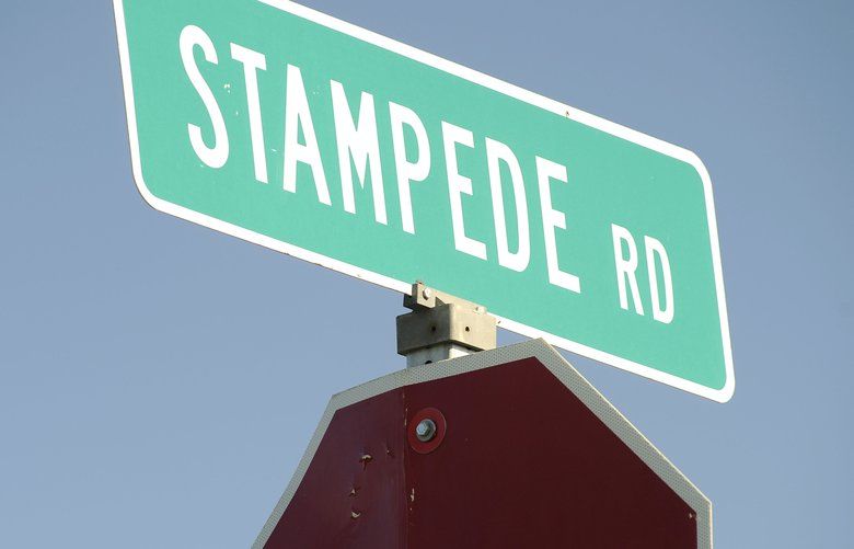 FILE – In this June 20, 2008, file photo, the road sign for Stampede Road is seen in Healy, Alaska. For more than a quarter-century, the old bus abandoned in Alaska’s punishing wilderness has drawn adventurers seeking to retrace the steps of a young idealist who met a tragic death in the derelict vehicle. For many, Christopher McCandless’ legend was cemented in the “Into the Wild” book and movie. But scores of travelers following his journey along the Stampede Trail just outside Denali National Park have been rescued and others have died in the harsh reality of back-country terrain. (AP Photo/Matt Hage, File) FX503 FX503