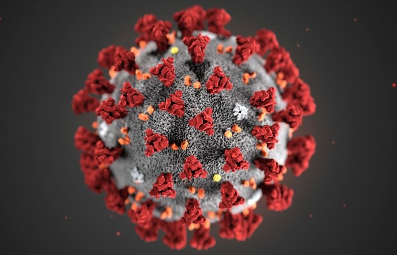 This illustration provided by the Centers for Disease Control and Prevention in January 2020 shows the 2019 Novel Coronavirus (2019-nCoV). This virus was identified as the cause of an outbreak of respiratory illness first detected in Wuhan, China. (CDC via AP)