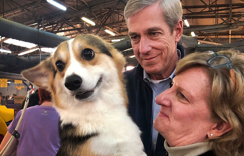 Dolly at Westminster dog show