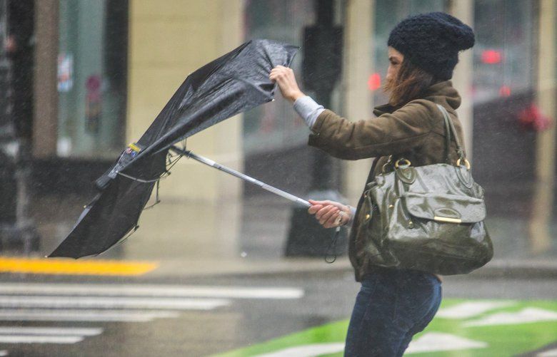 Friday, January 31, 2020. Not a good day for umbrella’s as pedestrians were being pulled down Pine Street from the wind. 212880