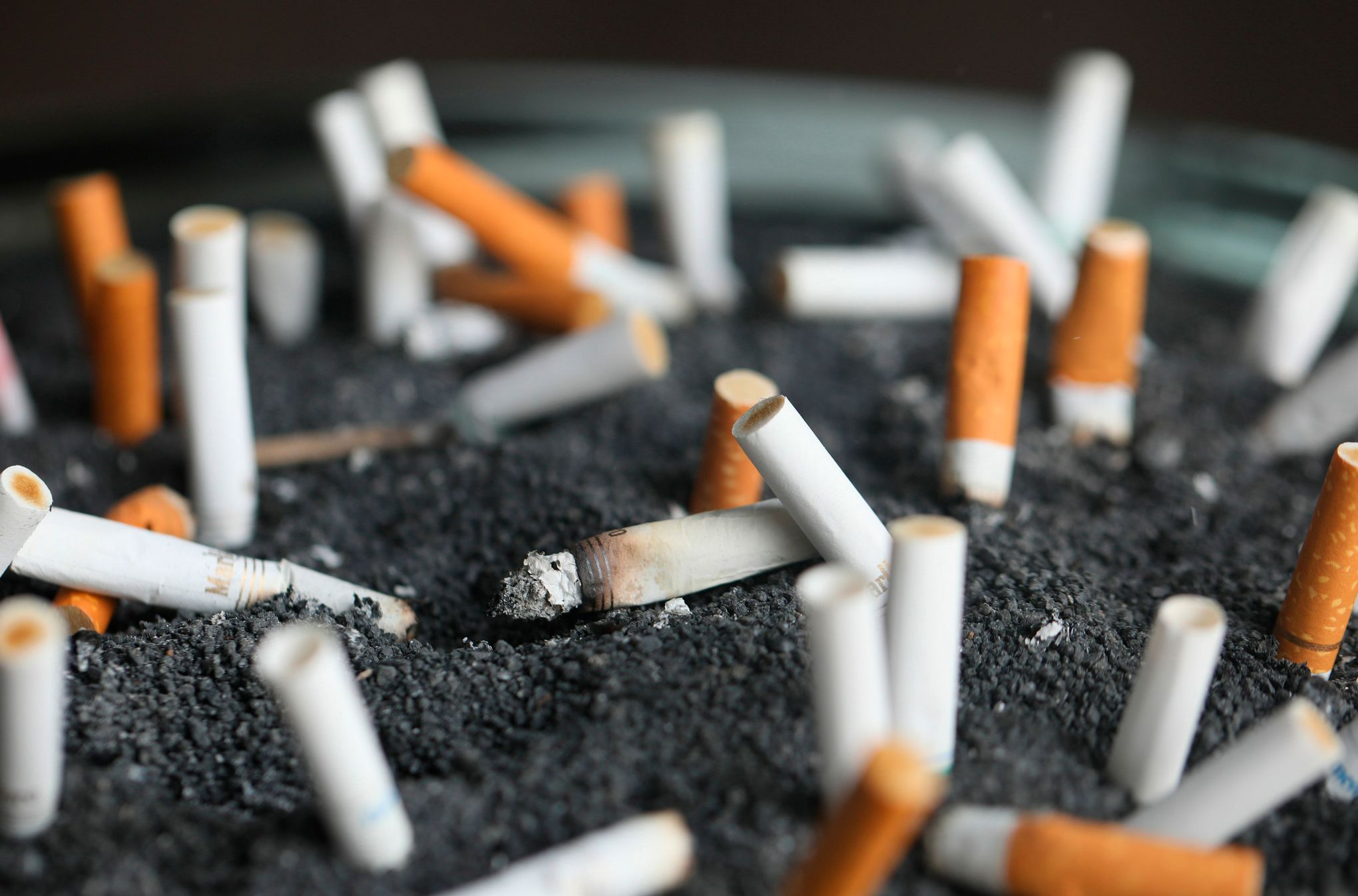 wedding cigarettes Cigarettes: A Party Favor for the End of the World