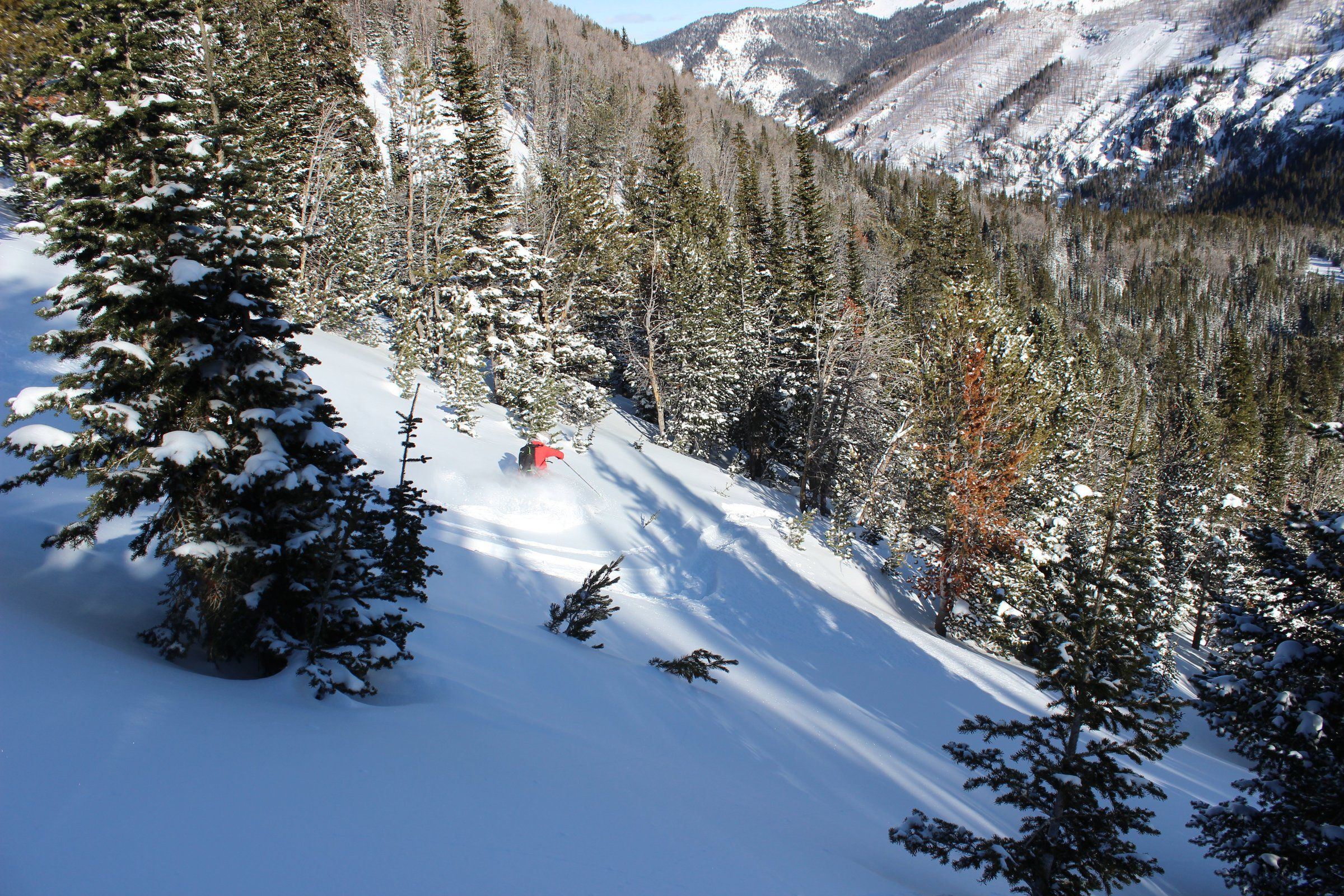 Bozeman beckons winter adventurers to Montana for a college-meets