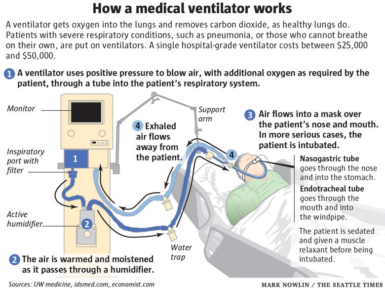 How Does A Ventilator Work?