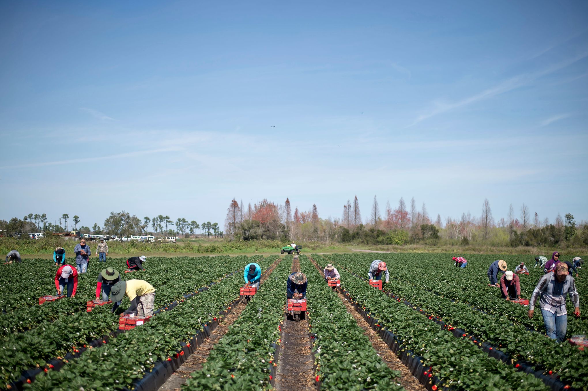 How the produce aisle looks to a migrant farmworker