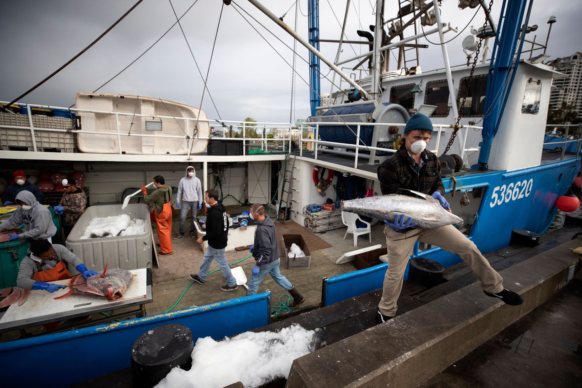 At sea during pandemic, tuna fishermen return to stormy times