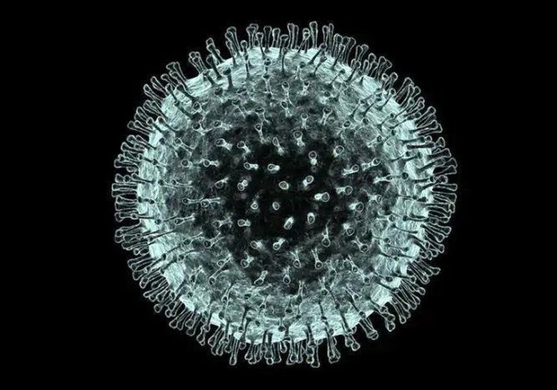 An illustration based on an electron microscope image of the 2019 Novel Coronavirus (2019-nCoV),responsible for the current global pandemic. The image was provided by Dr. Daniel Haight. (Alfred Pasieka-Science Photo Library / TNS)
